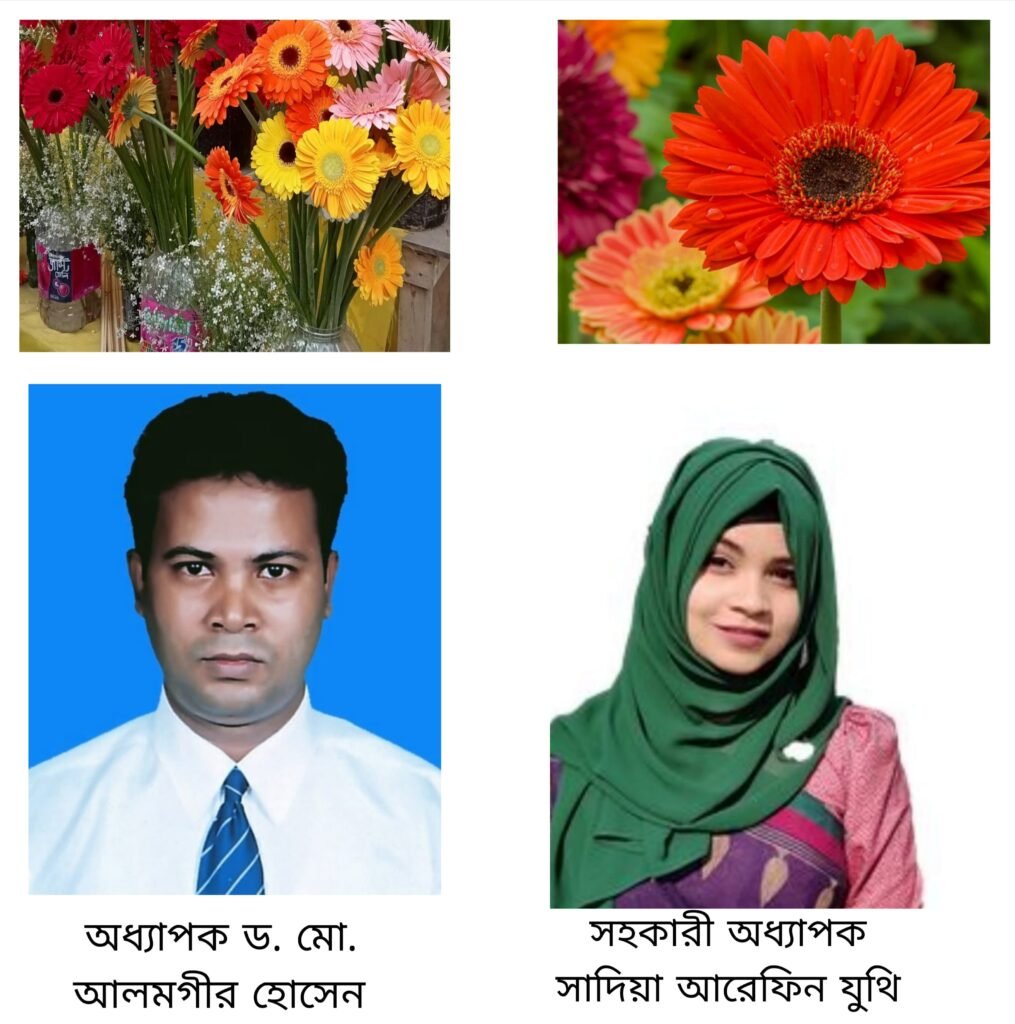 পরিবেশবান্ধব উপায়ে বৃদ্ধি পাবে জারবেরা ফুলের জীবনকাল
