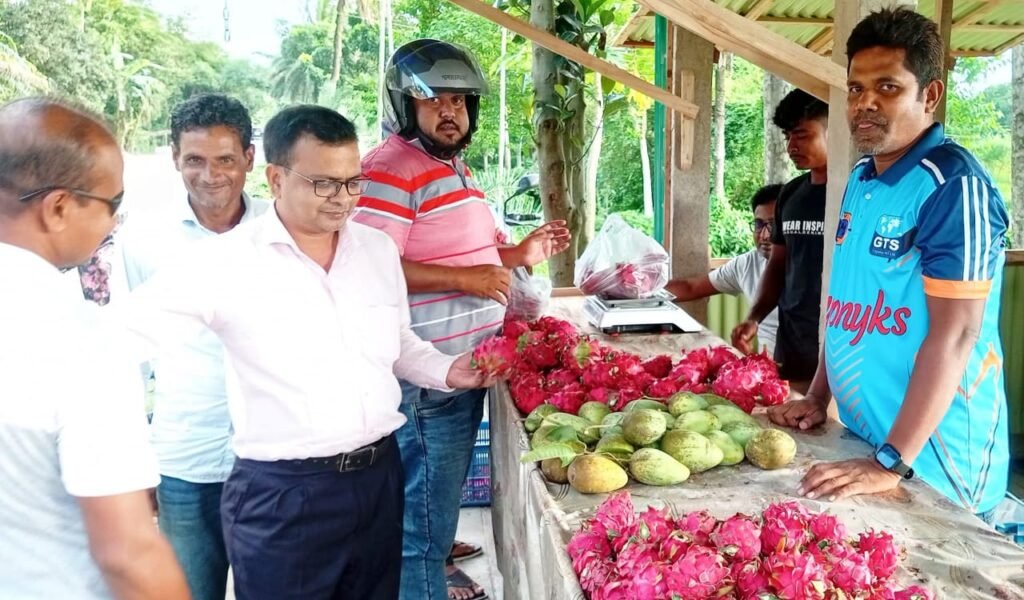রাস্তার পাশে ড্রাগনের দোকান দিয়ে মন কেড়েছে শিপলু মিয়া